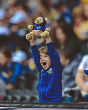 Image post by @theparraeels on Instagram