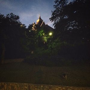 Image post by @txst on Instagram