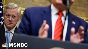 Video post by @msnbc on YouTube