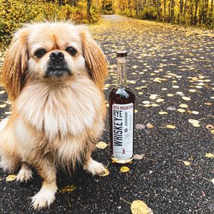 Image post by @10thmtnwhiskey on Instagram