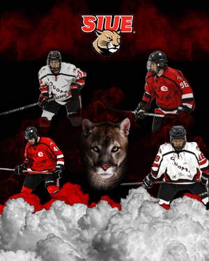 Image post by @siue_hockey on Instagram