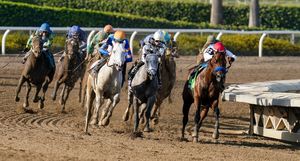 Image post by @breederscup on Instagram
