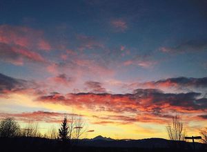Image post by @tourismabbotsford on Instagram