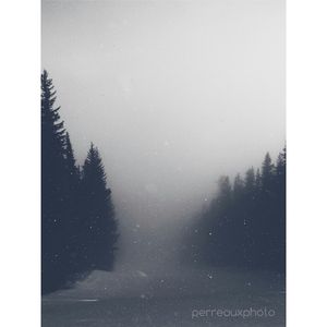 Image post by @perreauxphoto on Instagram