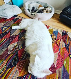 Image post by @hollysmee on Instagram