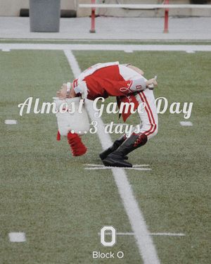 Image post by @osublocko on Instagram
