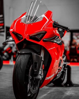 Image post by @panigalers on Instagram