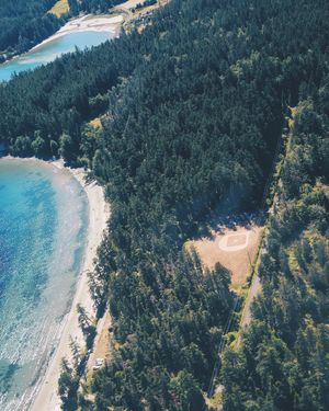 Image post by @willtrogdon on Instagram