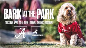 Image post by @alabamabsb on Instagram