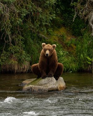 Image post by @nationalparkservice on Instagram
