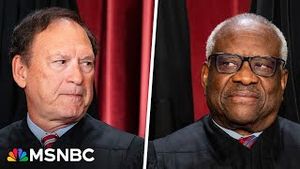 Video post by @msnbc on YouTube