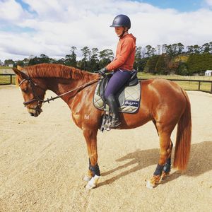 Image post by @performancesaddlefitssthsydney on Instagram