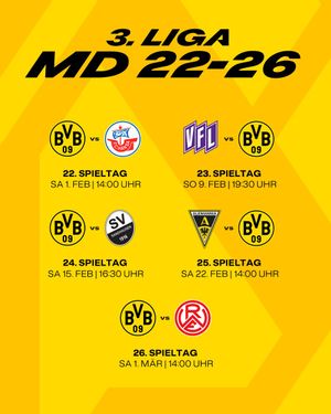 Image post by @BVB on Twitter/X