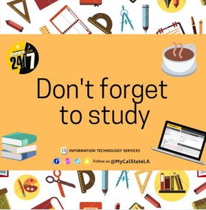 Image post by @mycalstatela on Instagram