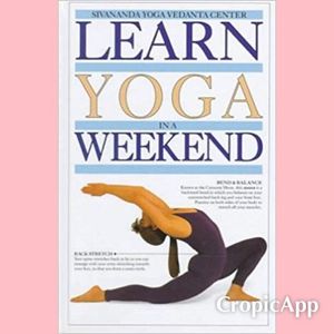 Image post by @lemondrop_social on Instagram