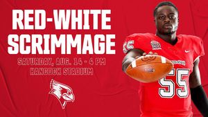 Image post by @isuredbirdfb on Instagram