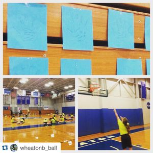 Image post by @wheatonlyons on Instagram