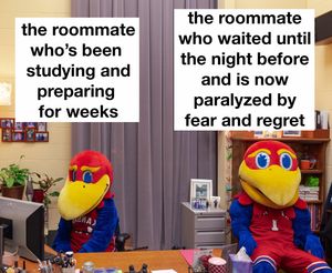 Image post by @universityofkansas on Instagram