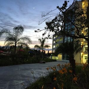 Image post by @asicsuf on Instagram