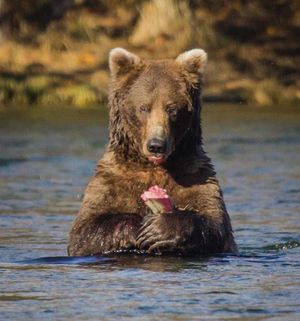 Image post by @nationalparkservice on Instagram