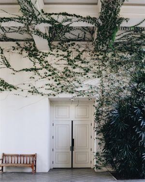 Image post by @zofeeagenota on Instagram