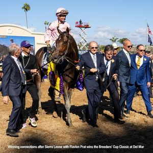 Image post by @thebloodhorse on Instagram