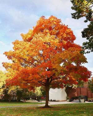 Image post by @rutgersnb on Instagram