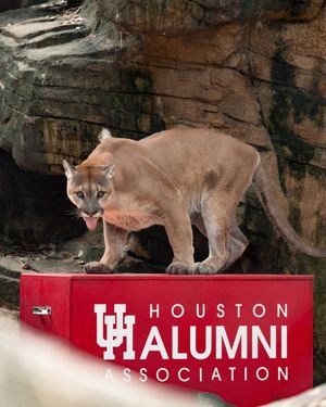 Image post by @universityofhouston on Instagram