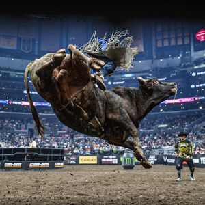 Image post by @PBR on Twitter/X