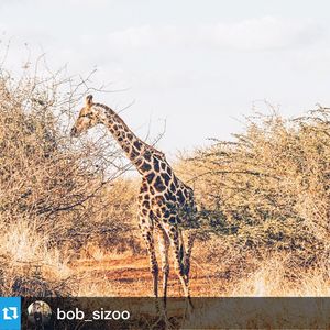 Image post by @mtomconsulting on Instagram