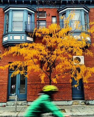 Image post by @mtl_unscripted on Instagram