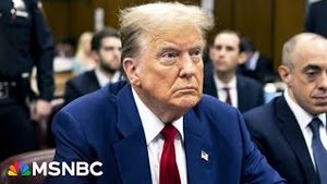Video post by @msnbc on YouTube