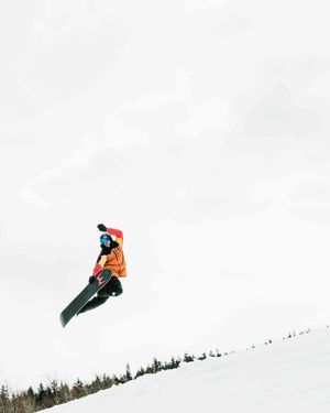 Image post by @themainemag on Instagram