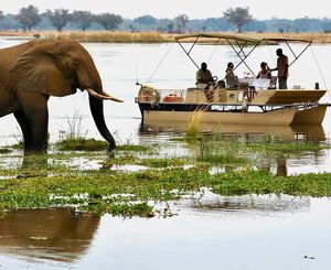 Image post by @chiawasafaris on Instagram