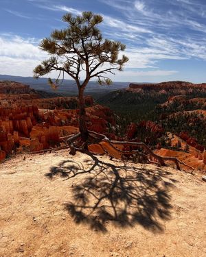Image post by @nationalparkscollective on Instagram
