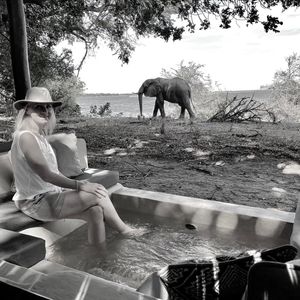 Image post by @chiawasafaris on Instagram