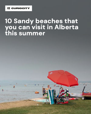 Image post by @curiocitycalgary on Instagram