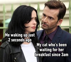 Image post by @9gag on Instagram