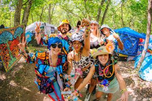Image post by @dancefestopia on Instagram
