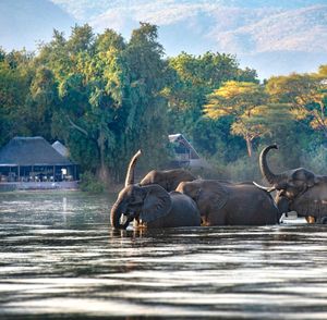 Image post by @chiawasafaris on Instagram