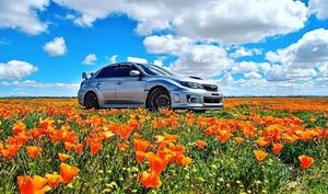 Image post by @schompsubaru on Instagram