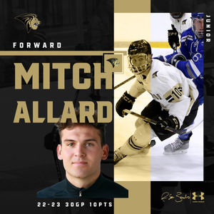 Image post by @luhockey_ncaa on Instagram