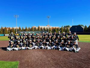 Image post by @charlotte_baseball on Instagram