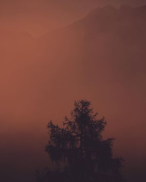 Image post by @luisgallophoto on Instagram