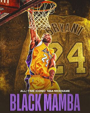 Image post by @nbaindia on Instagram