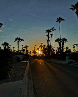 Image post by @andrewkrasny on Instagram