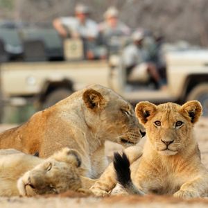 Image post by @chiawasafaris on Instagram