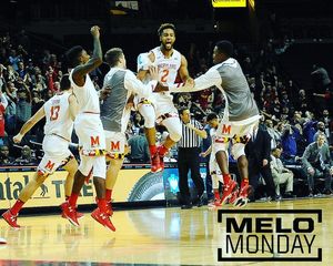 Image post by @terrapinhoops on Instagram
