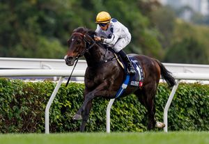 Image post by @worldhorseracing on Instagram