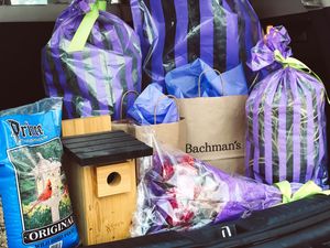 Image post by @shopbachmans on Instagram
